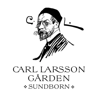 carllarsson.se's icon