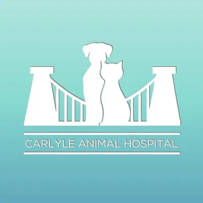 carlyleanimalhospital.com's icon