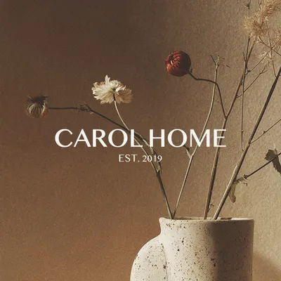 carolhome.lt's icon