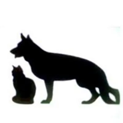 carolinacrossingvet.com's icon