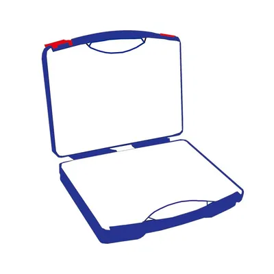 carrymost.com's icon