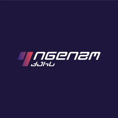 carsindigo.com's icon