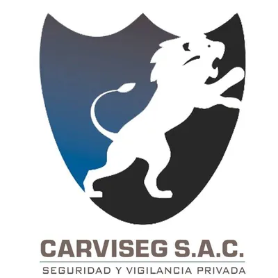 carviseg.com's icon