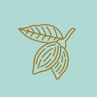 casadobrigadeiromx.com's icon