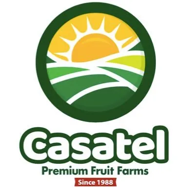 casatelsa.com's icon