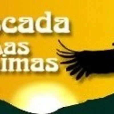 cascadadelasanimas.cl's icon