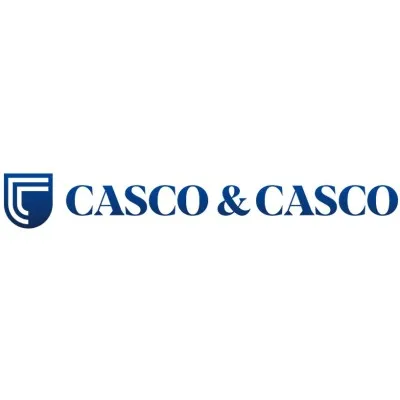 cascoinfo.com's icon