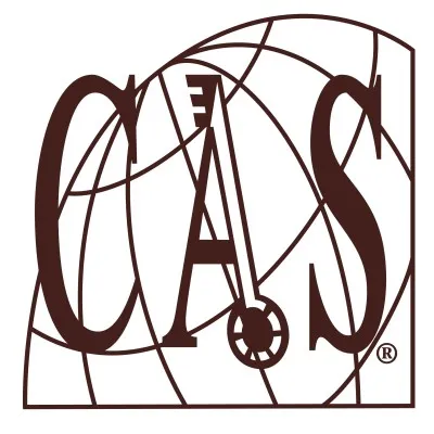 cassolution.com's icon