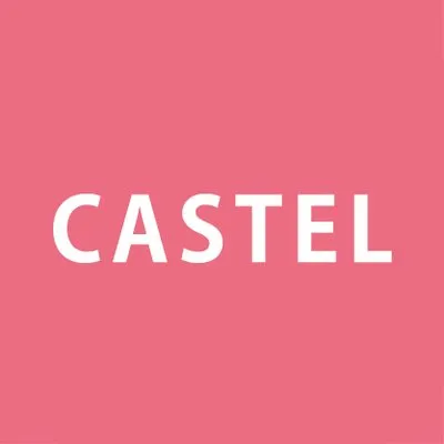 castel.jp's icon