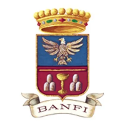 castellobanfi.com's icon