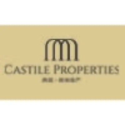 castilere.com's icon