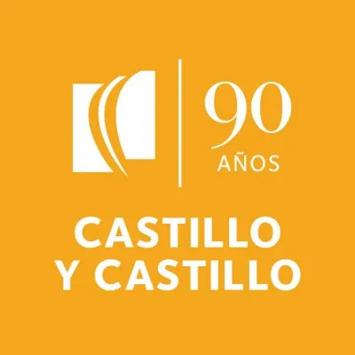 castillo.com.do's icon