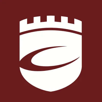 castle-global.com's icon
