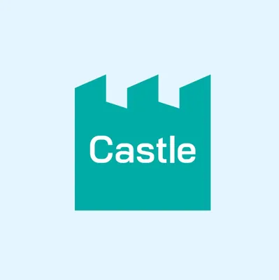 castlepaints.ie's icon