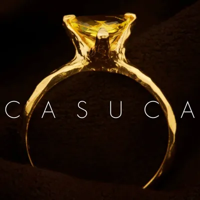casuca.jp's icon