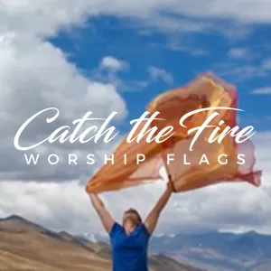 catchthefireworshipflags.com's icon