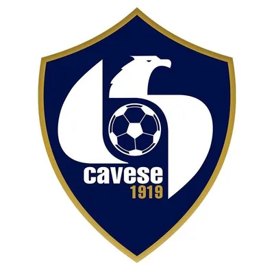 cavese1919.com's icon