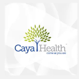 cayaih.com's icon