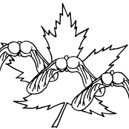 cba-abc.ca's icon