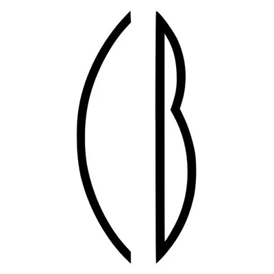 cbbottazzo.com's icon