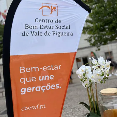cbesvf.pt's icon