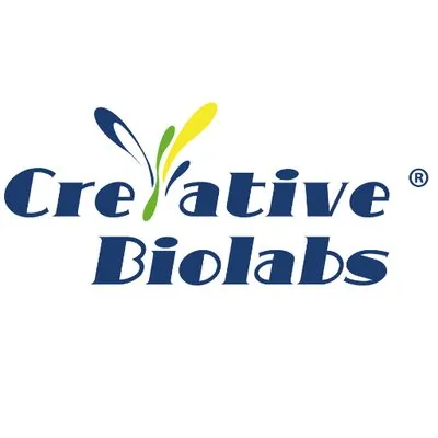cblrecombinant.com's icon