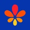 ccgsaude.com.br's icon