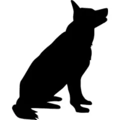cdipetcare.com's icon