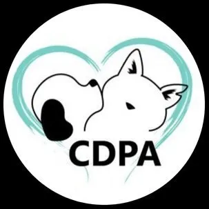 cdpa.ie's icon