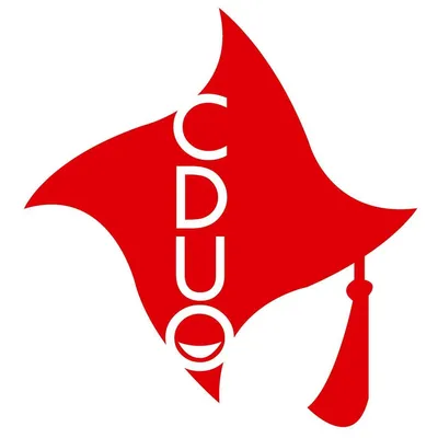 cduo.it's icon