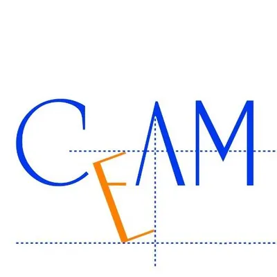 ceamarqueo.com's icon