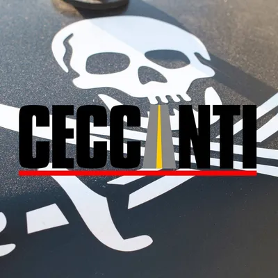 ceccantiinc.com's icon