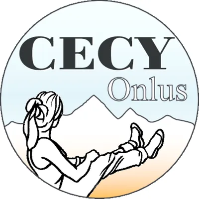 cecyonlus.org's icon