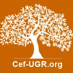 cef-ugr.org's icon