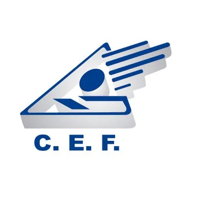ceformar.edu.co's icon
