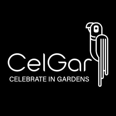 celgar.in's icon