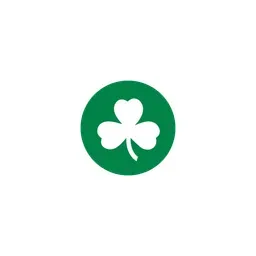 Boston Celtics's icon