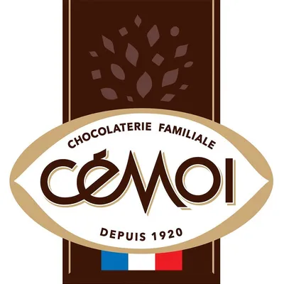 cemoi.fr's icon