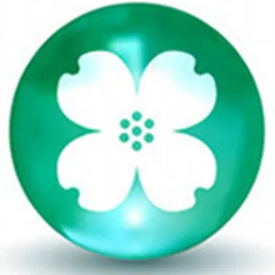 centralbancompany.com's icon