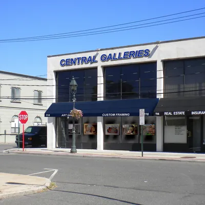 centralgalleries.com's icon