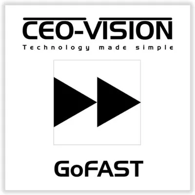 ceo-vision.com's icon