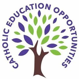 ceoflex.org's icon