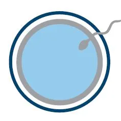 cerhvalencia.com's icon