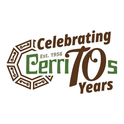 cerritos.us's icon