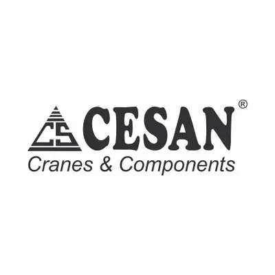 cesan.com's icon