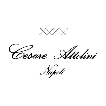 cesareattolini.com's icon