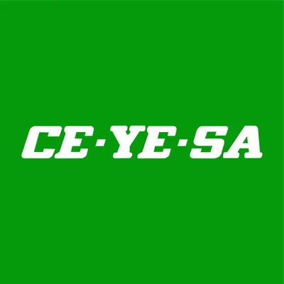 ceyesa.com.pe's icon