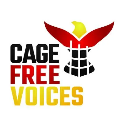cfvonlinelearning.com's icon