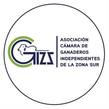 cgizs.com's icon