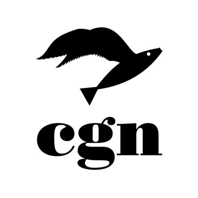 cgn.it's icon